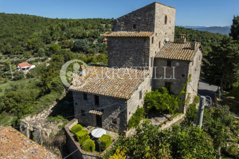 Perugia magnifica to