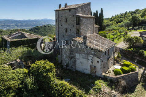 Perugia magnifica to