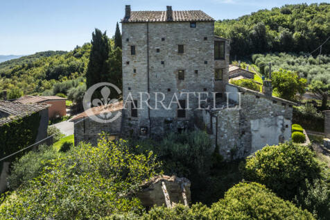 Perugia magnifica to
