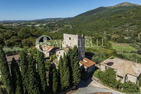 Perugia magnifica to