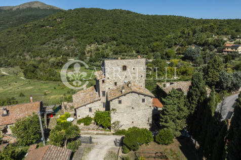 Perugia magnifica to