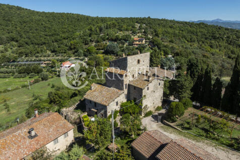 Perugia magnifica to