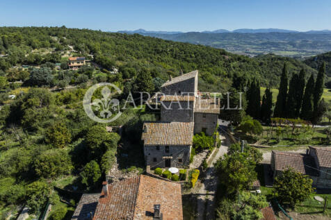 Perugia magnifica to