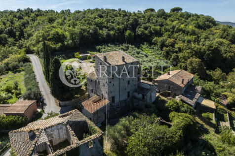 Perugia magnifica to