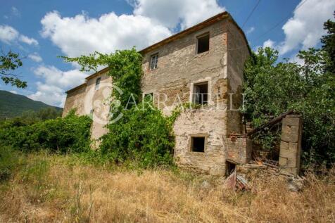 szd_Azienda vitivini