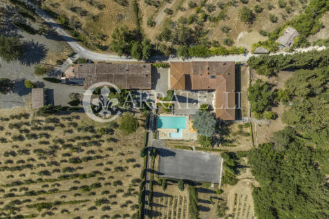 szd_Azienda vitivini