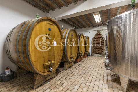 szd_Azienda vitivini