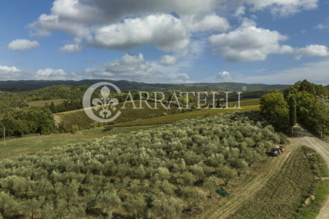 Azienda vitivinicola