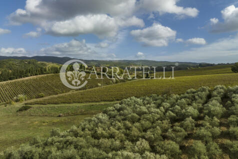 Azienda vitivinicola