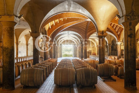 Azienda vitivinicola
