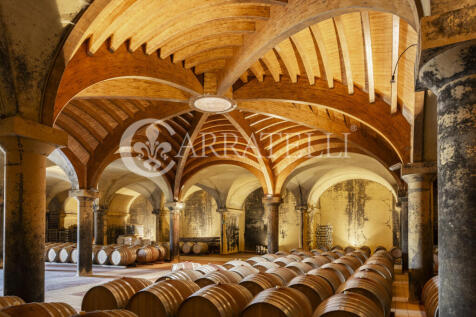 Azienda vitivinicola