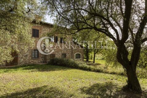 Azienda vitivinicola