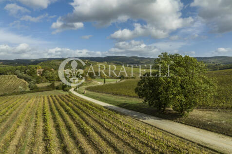 Azienda vitivinicola