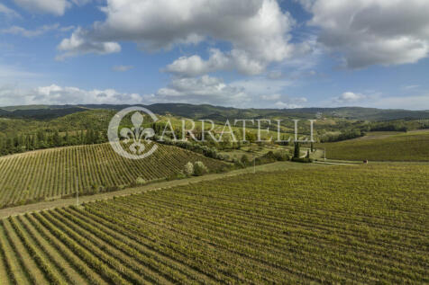 Azienda vitivinicola