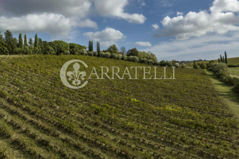 Azienda vitivinicola