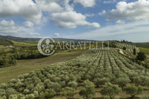 Azienda vitivinicola