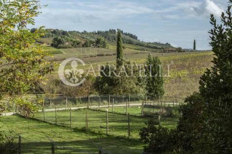 Azienda vitivinicola