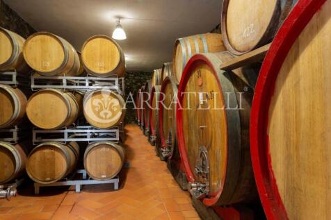 Azienda vitivinicola