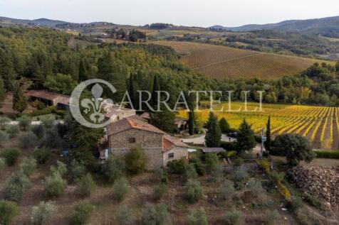 Azienda vitivinicola