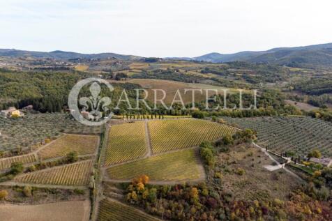 Azienda vitivinicola
