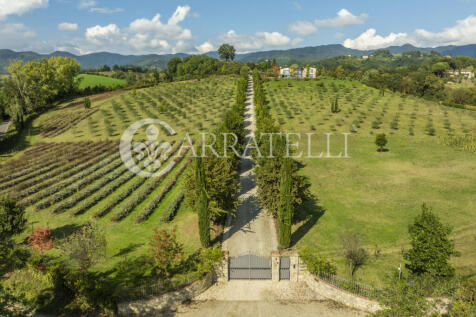 Villa Moderna di Alt