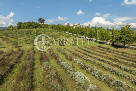 Prestigiosa villa in