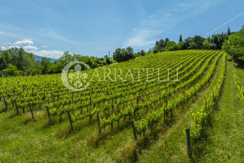Firenze azienda agri