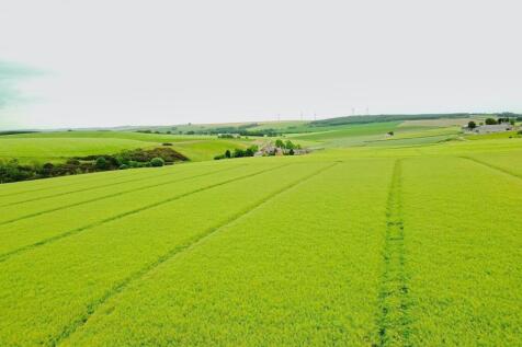 Surrounding Countryside