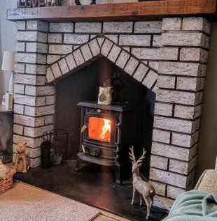 Cosy Wood Burning Stove