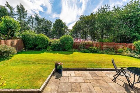 Back Garden