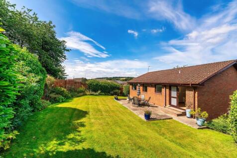Back Garden