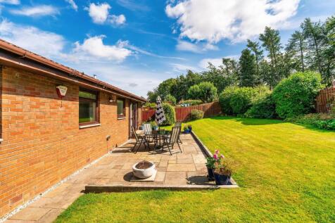 Back Garden