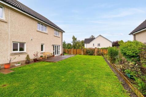 Back Garden