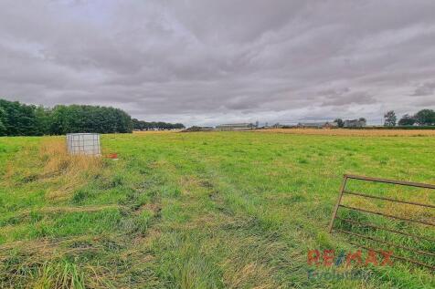 Field