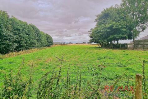 Field