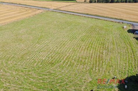 Field