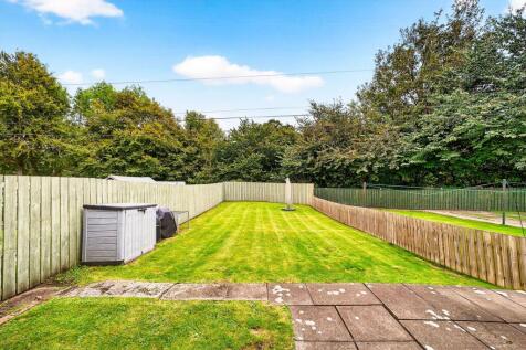 Back Garden