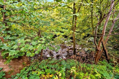 Woodland and River