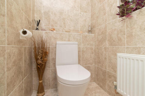 Picture 16
