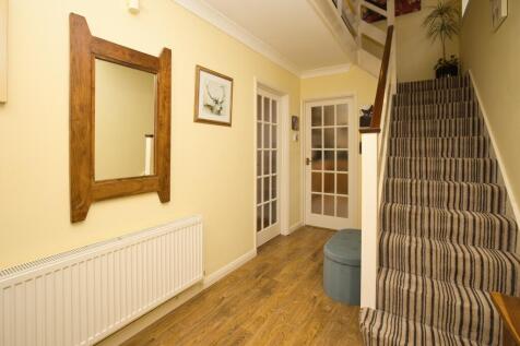 Picture 13