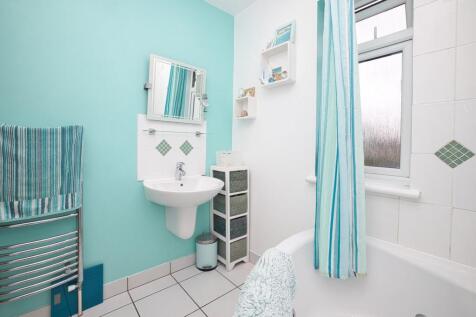 Picture 8
