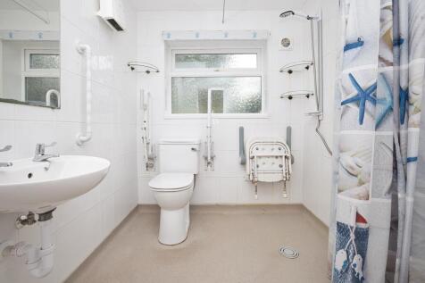 Picture 8