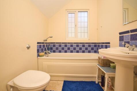 Picture 15