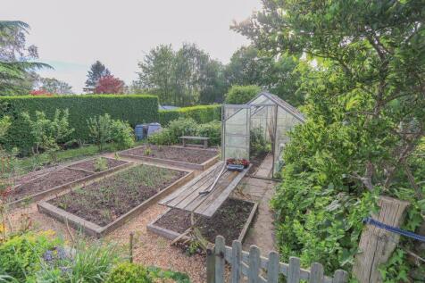 Vegetable garden
