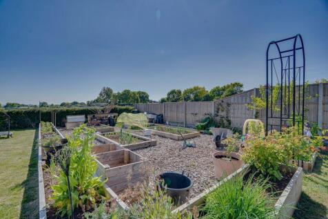 Vegetable garden 