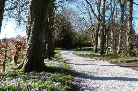 Driveway towards the property