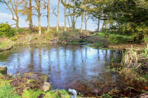 Duck Pond