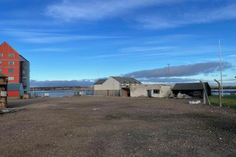 Photo 04