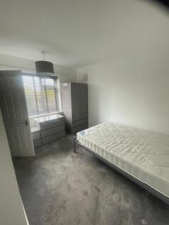 WhatsApp Image 20...