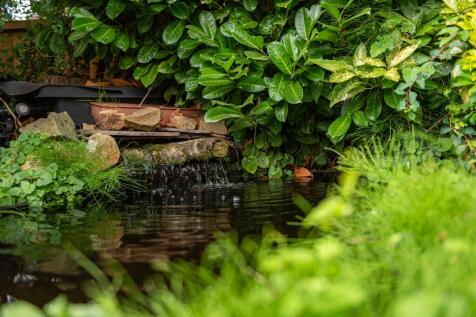 DSC_1143.jpg